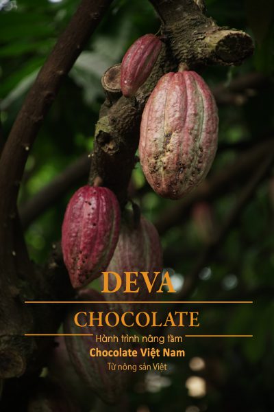 deva chocolate - hành trình nâng tầm chocolate việt nam từ nông sản thuần việt 1