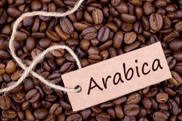 cách phân biệt cà phê arabica và robusta